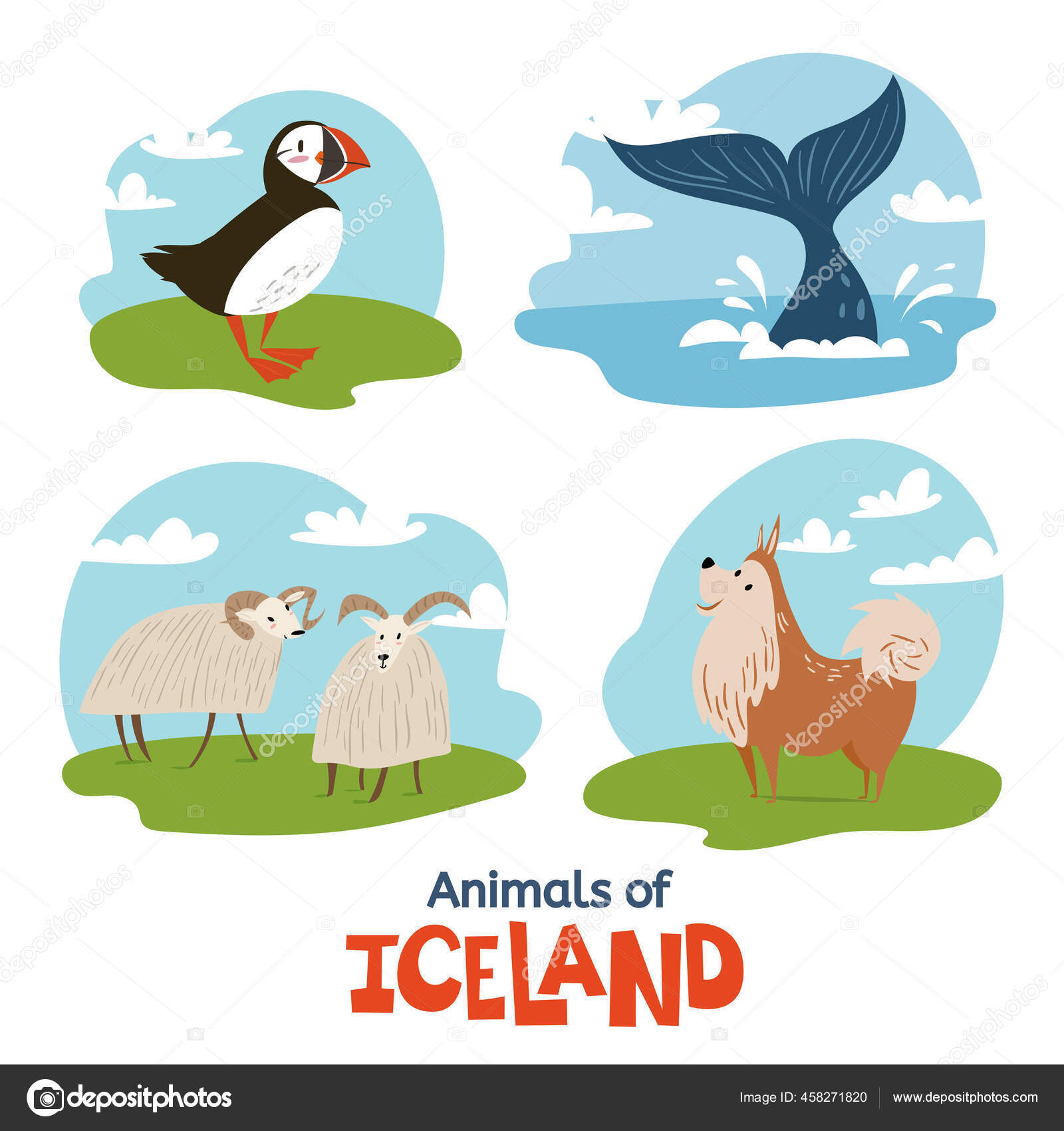 Animals Iceland Dog Sheeps Puffin Whale Animals Iceland Flat Modern Vector Image By C Giraffarte Vector Stock Animals Iceland Dog Sheeps Puffin Whale Animals Iceland Flat Modern Vector Image By C Giraffarte Vector Stock