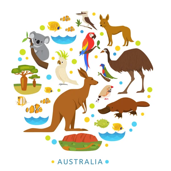 澳大利亚的动物 澳大利亚鸟类 鱼类和当地特有的动物采用扁平的现代风格设计 澳大利亚动物的详细图标 自然世界 图库插图