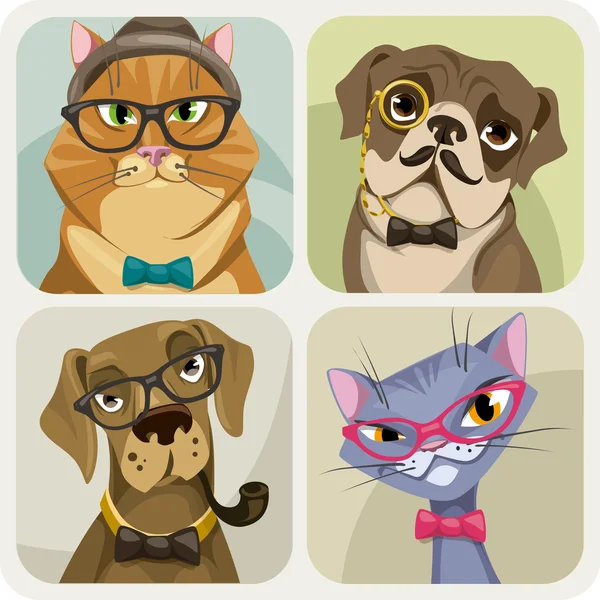 Köpek ve kedi Portreler