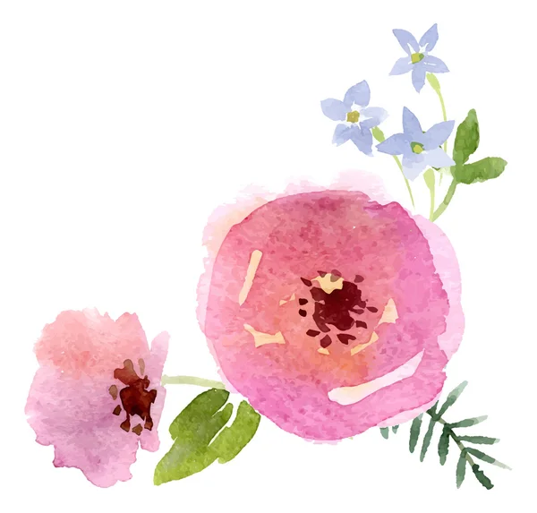 Desenho de flores aquarela — Vetor de Stock