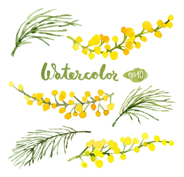 Suluboya botanik öğeleri kümesi