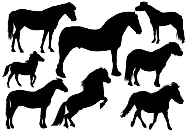 Σιλουέτες Διαφόρων Τύπων Και Μεγεθών Πόνι Συμπεριλαμβανομένου Ενός Μικροσκοπικού Αλόγου — Διανυσματικό Αρχείο