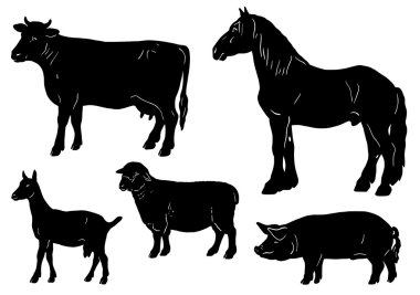 Şekil hayvanlarla Farmlife