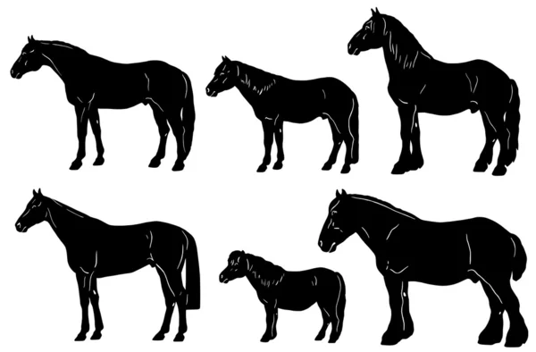 Siluetas de caballos con rasgos — Vector de stock