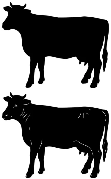 Vacas — Vector de stock