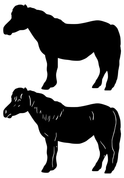 Pony de Shetland — Vector de stock