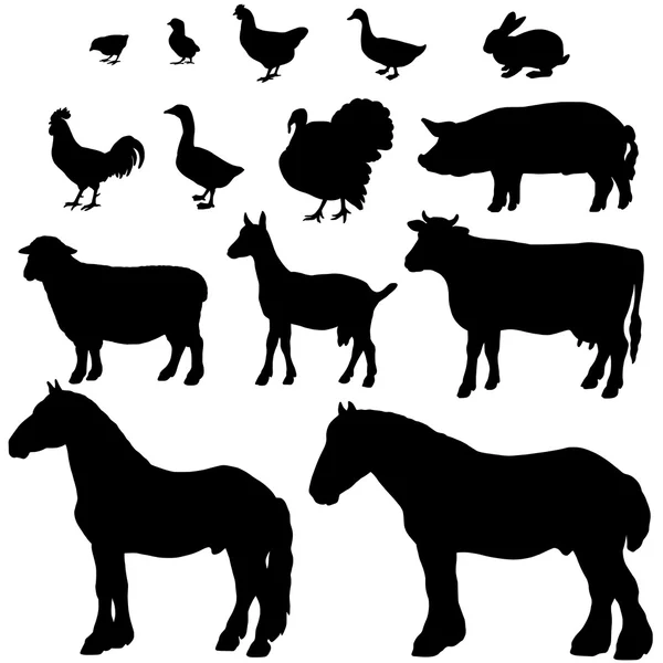 Farm animals — Stock Vector