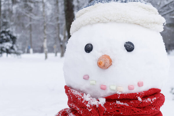 Fabulous snowman in a red scarf, snowman in the snow. Beautiful winter background. Merry christmas and a happy new year! Close up.