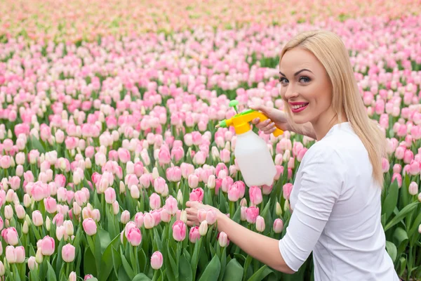 Hermosa joven está regando tulipanes rosados — Foto de Stock