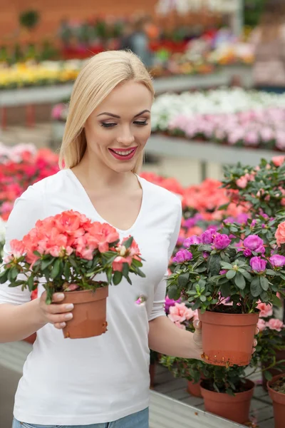 Draguta blonda doamnă este alegerea plantei în magazin — Fotografie, imagine de stoc