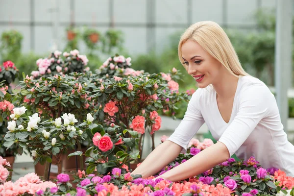 Jovencita alegre está trabajando en la tienda de plantas — Foto de Stock
