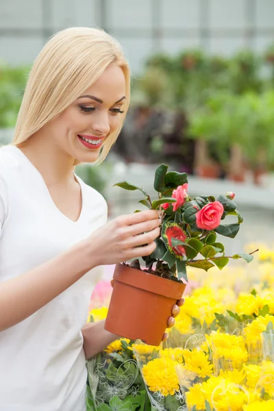 Glada blonda tjejen som köper en anläggning — Stockfoto