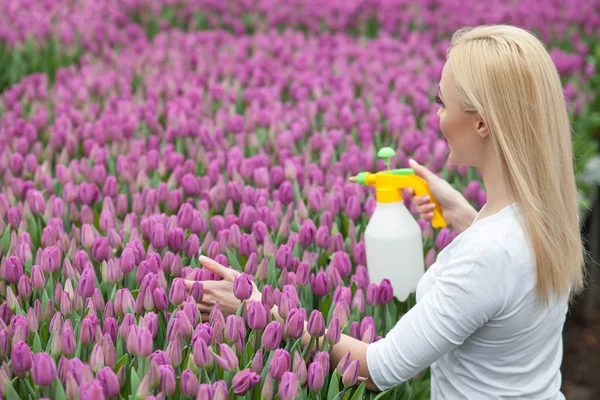 Alegre jardinero femenino es regar flores de primavera — Foto de Stock