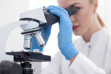 Usta genç araştırmacı laboratuvarda çalışıyor