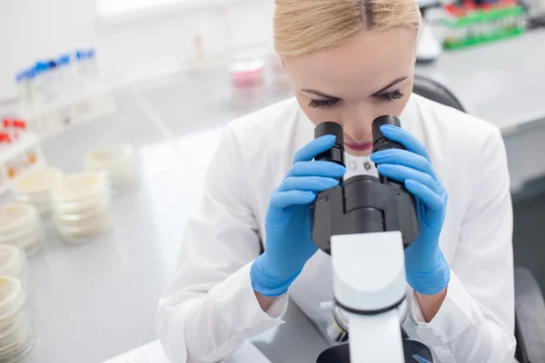 Alegre científica está haciendo pruebas en el laboratorio — Foto de Stock