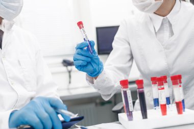 Usta araştırmacılar laboratuvarda örnekleri test ediyorlar
