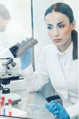 Neşeli genç araştırmacı laboratuvarda deney yapıyor