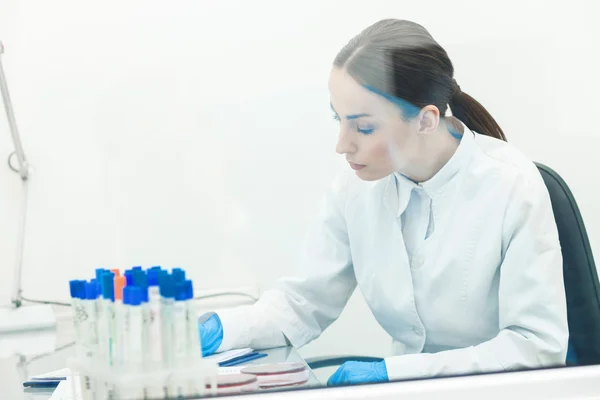 Linda doctora está trabajando en el laboratorio. — Foto de Stock