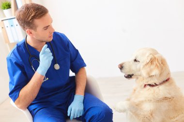 Çekici genç doktor bir hayvan öğretiyor