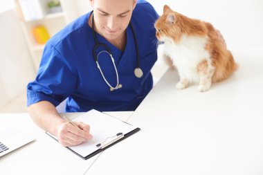 Neşeli genç veteriner bazı notlar yapıyor