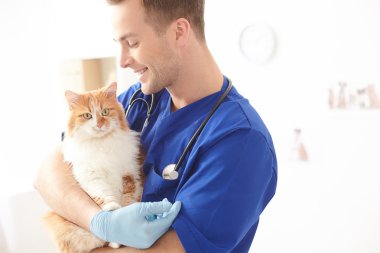 Yetenekli genç veteriner hayvan sağlığı incelenmesi