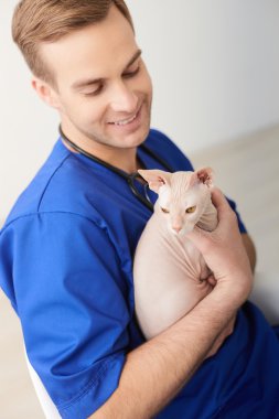 Neşeli erkek veteriner pet incelenmesi