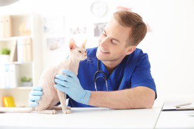 Yetenekli genç veteriner a evde beslenen hayvan incelenmesi