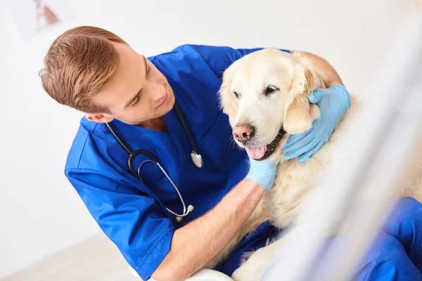 Χαρούμενος νεαρός κτηνίατρος εξετάζει ένα κουτάβι — Φωτογραφία Αρχείου