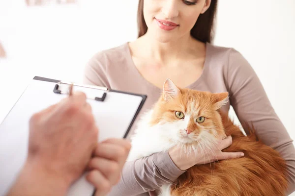 Menina bonita está mostrando seu animal de estimação ao médico — Fotografia de Stock