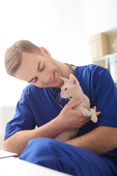 Profissional jovem veterinário está desfrutando de seu trabalho — Fotografia de Stock