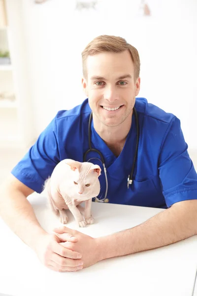 Veterinário masculino profissional está trabalhando com animal de estimação — Fotografia de Stock