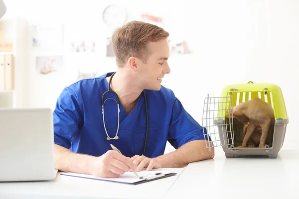 Bonito veterinário masculino está escrevendo diagnóstico — Fotografia de Stock