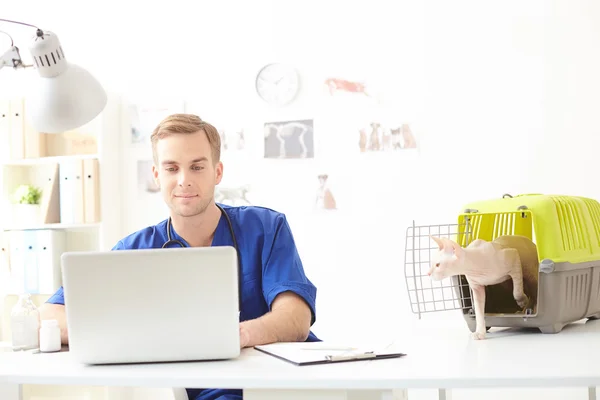 Bonito veterinário jovem usando computador na clínica — Fotografia de Stock