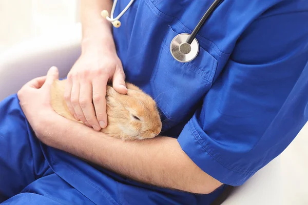 Veterinário masculino simpático está curando um animal — Fotografia de Stock