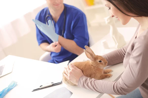 Pretty lady is showing her pet to doctor — Stock Photo, Image