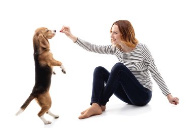 Çekici kız bir köpek yavrusu evcilleştirme