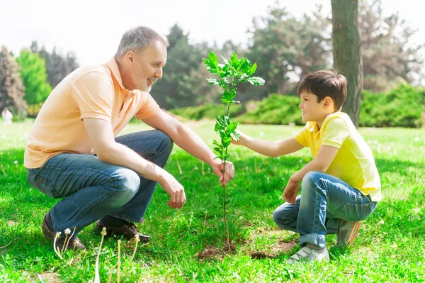 Família amigável alegre está plantando o broto — Fotografia de Stock