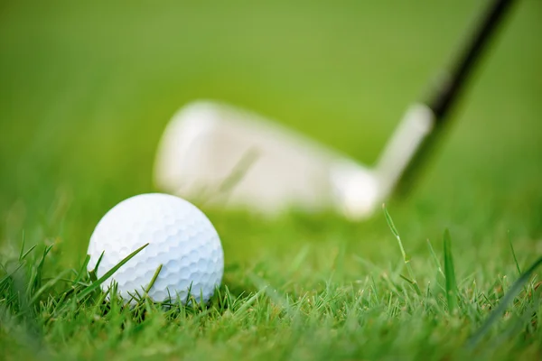 Pallina da golf accuratamente bilanciata in campo — Foto Stock