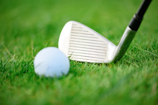 Balón de golf cuidadosamente equilibrado en el campo —  Fotos de Stock