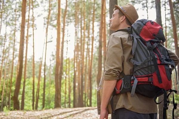 森の中を歩く陽気な男性冒険家 — ストック写真