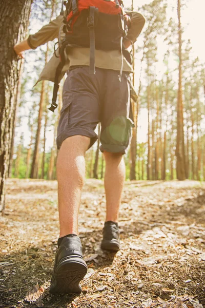 Homme actif randonnée dans la nature — Photo