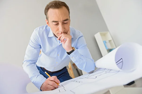 Adult businessman working in office