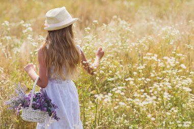 Şirin çocuk Daisy çayır üzerinde dinlenme