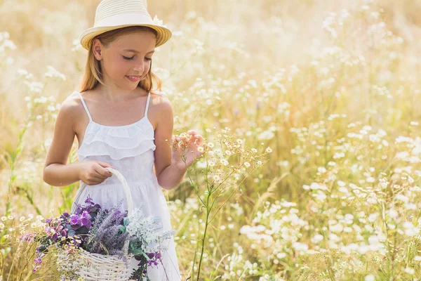 Cute child making bouquet on field — Stock Photo, Image