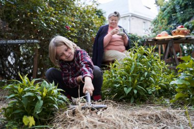 Çocuk dikkatlice kuru ot topluyor.