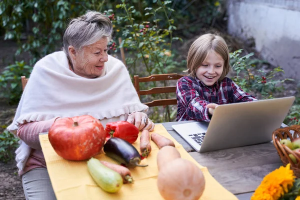 Barnbarn visar något på laptopen — Stockfoto