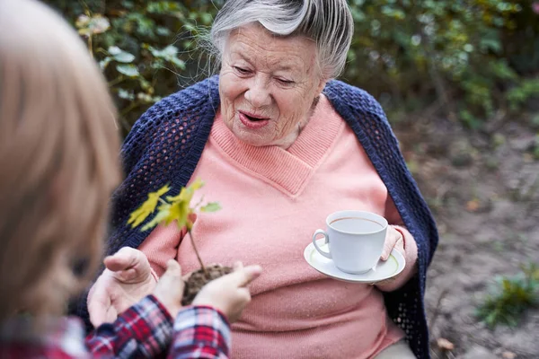 Boy bringing a plant to his granny — Stock Photo, Image