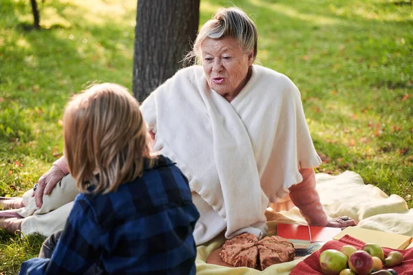 Woman speaking with grandchild at the picnic — Stock Photo, Image