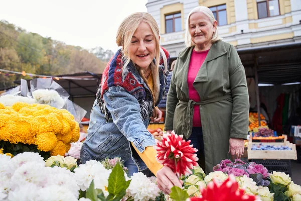 Woman choosing flowers at outdoor flower shop — Stock Photo, Image