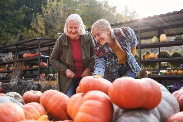 Mujer de pie con su hija adulta en el mercado local — Foto de Stock